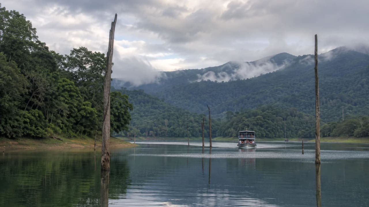 Periyar Lake surrounded by dense forests and mountains in Thekkady, Kerala.